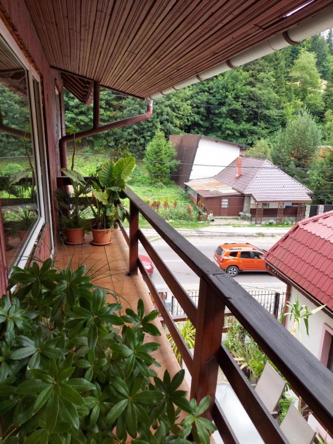 Pensiune Casa Barcaru Азуга Екстериор снимка