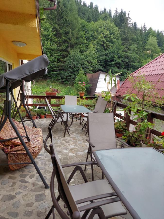 Pensiune Casa Barcaru Азуга Екстериор снимка